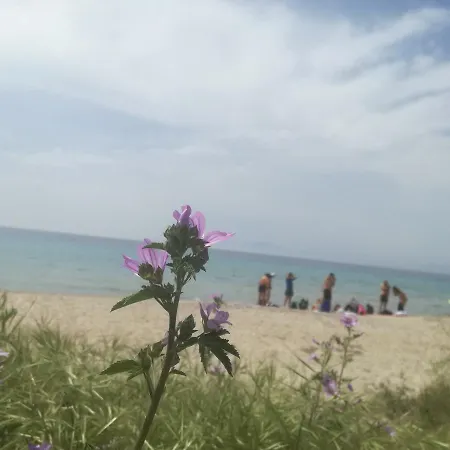 Διαμέρισμα Crystal Blue Apartments Four Seasons Nea Kallikrateia